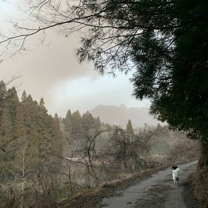 82c6b4cf c8d2 4433 ac6a 686b36fc6081 1580823098161