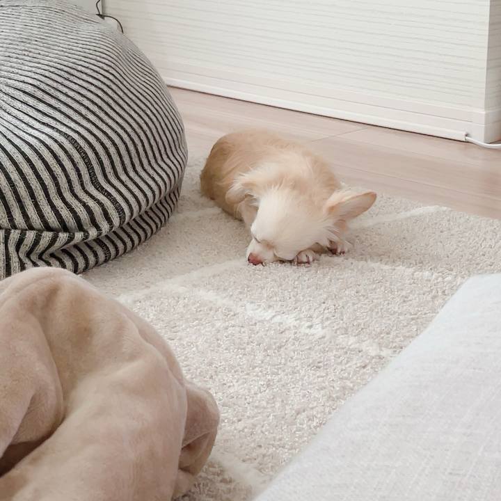 82c6e51a f8d9 4219 b050 7d4b8c3bc591 1717166361008