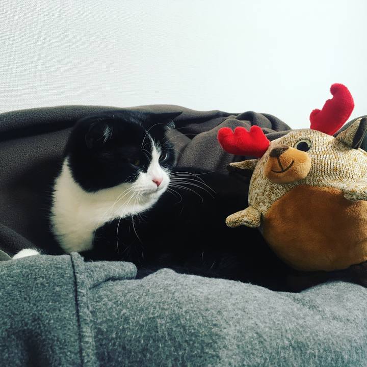 82c72a7d 10ec 4997 9052 bd302617f53c 1604758681655