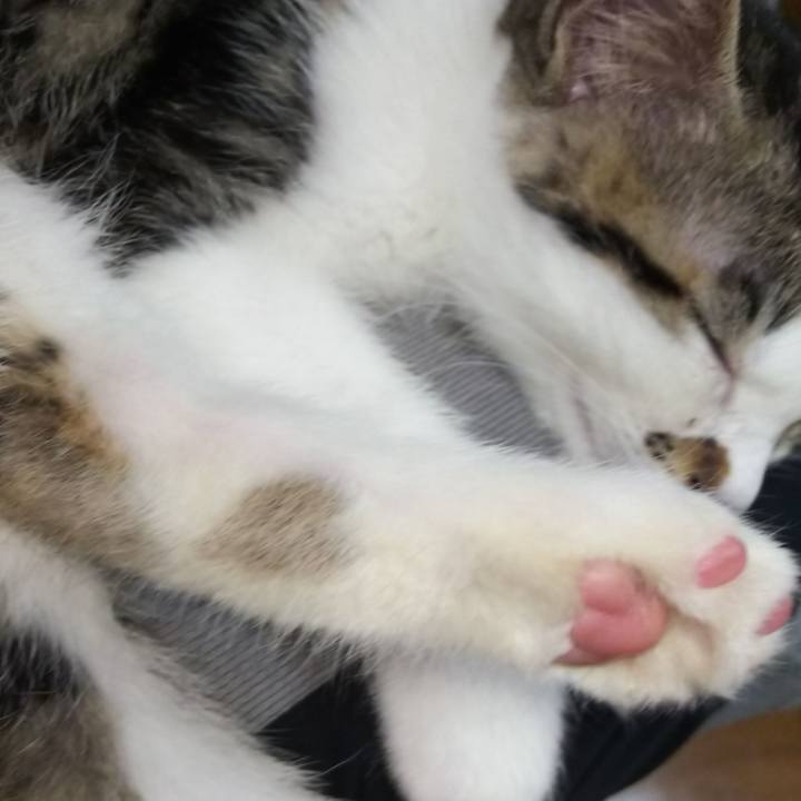 82c73910 24b8 4b55 aea0 6095958632a3 1606619774185