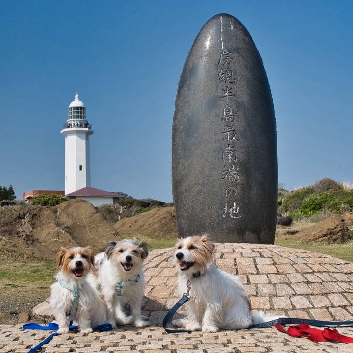 82c75355 4010 4e21 9068 d5b8051aebd4 1774785891554