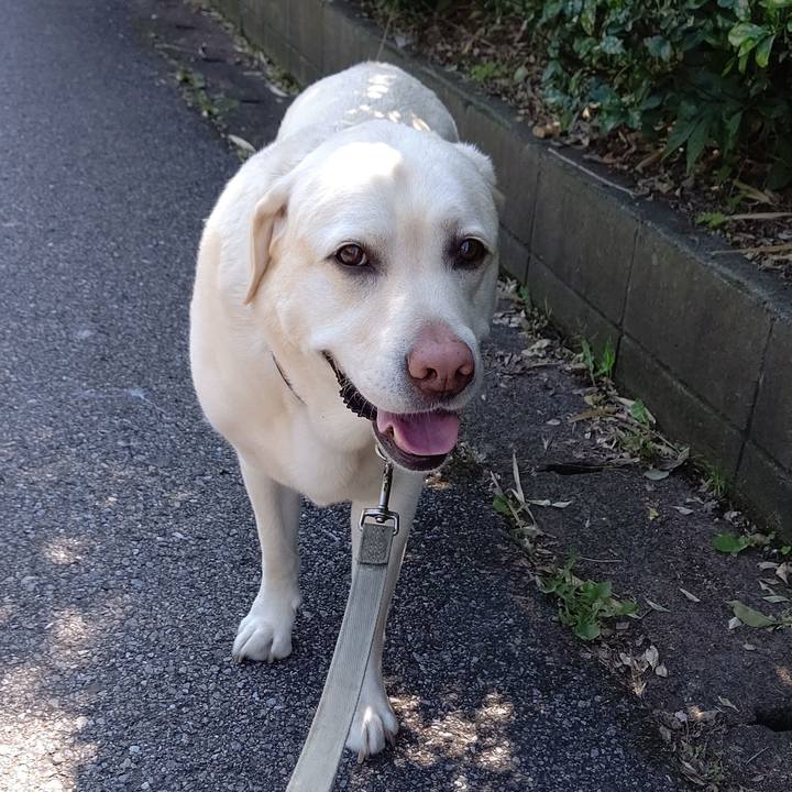 82c76624 8a32 4a36 b0cd 9a81afd9f74f 1653439758900