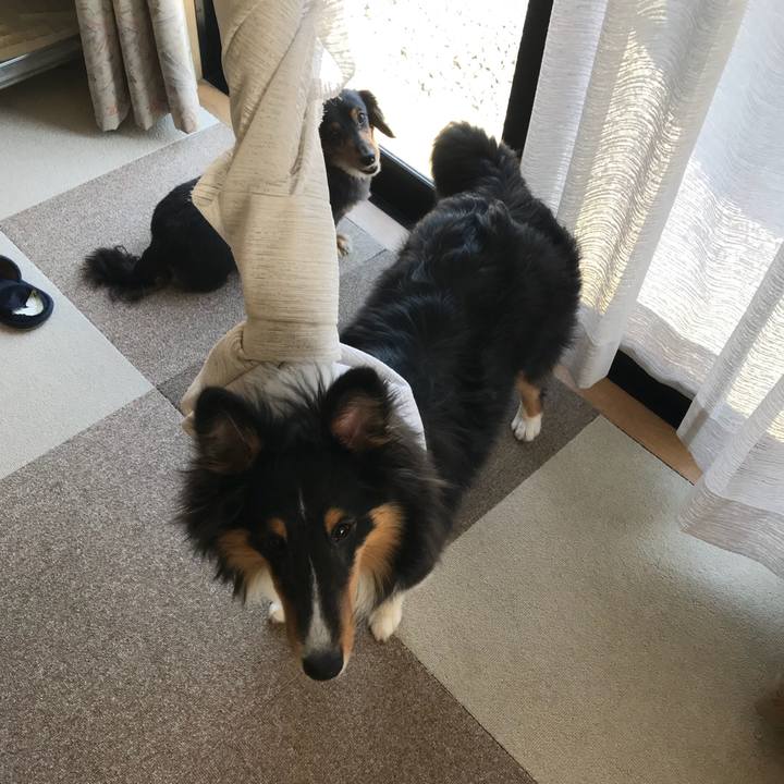 82c78048 9599 4188 8a95 0042e289f38a 1522367715192