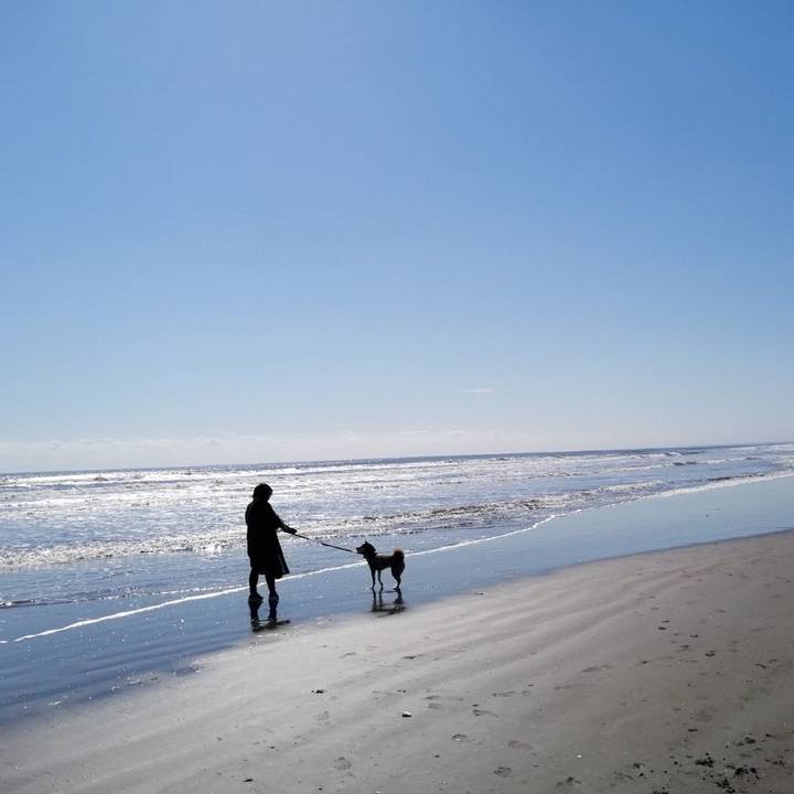 82c787fb 9874 4a67 8fe9 5bf9f190a19c 1635153529363