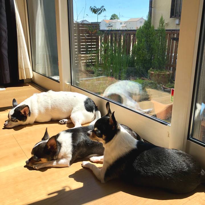 82c78e7f bcac 4408 ae86 58fadb2ce789 1535165559478