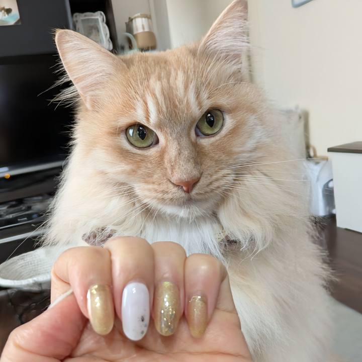 82c7aedd 186f 495a b8a3 b10cbceeff63 1744105826662