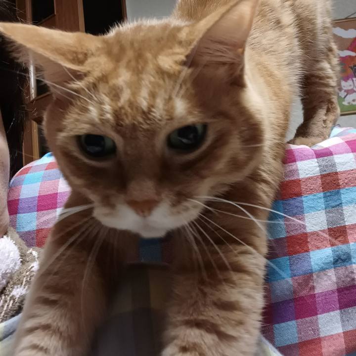 82c7c88b 53d9 4021 bfd2 351c89991d53 1691066533315