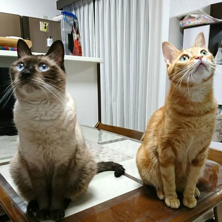 82c7d6a8 4611 434e b78f f0cd776591e6 1557062605113