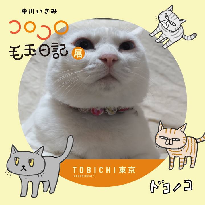 82c7e515 825e 4370 91e9 38ff4b6c7cd9 1740113050092