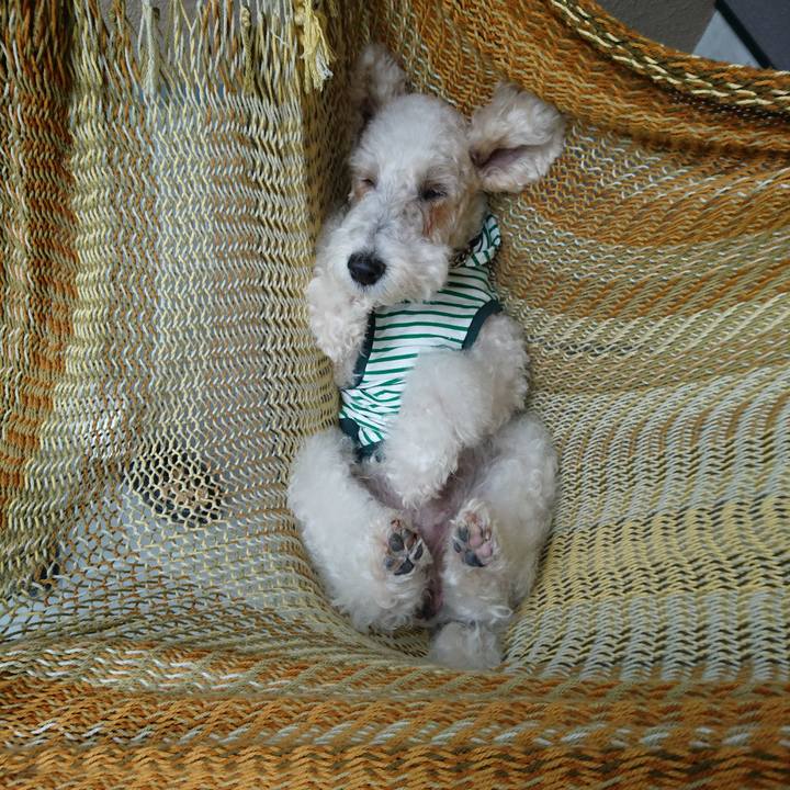 82c7f0df 9a07 4090 9176 b5e3cb6c18f4 1510446209559