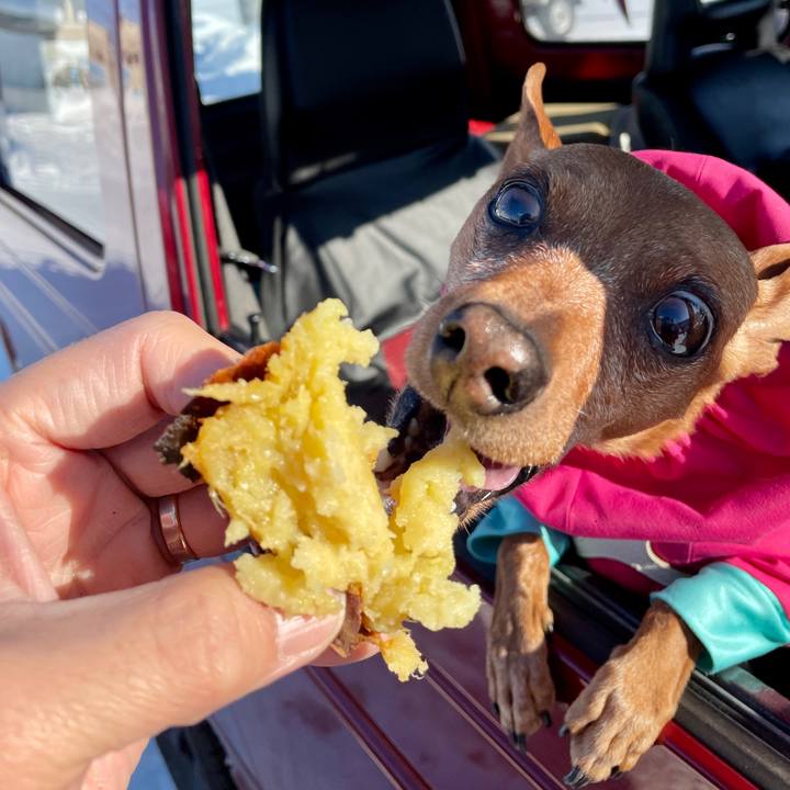 82c8387b 2025 43a8 a290 a7d4e452dc72 1673160920414