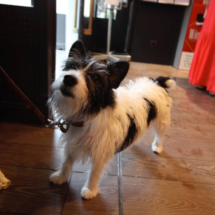 82c87c3b 3067 4309 9fb1 9865dec7b82c 1615025456519