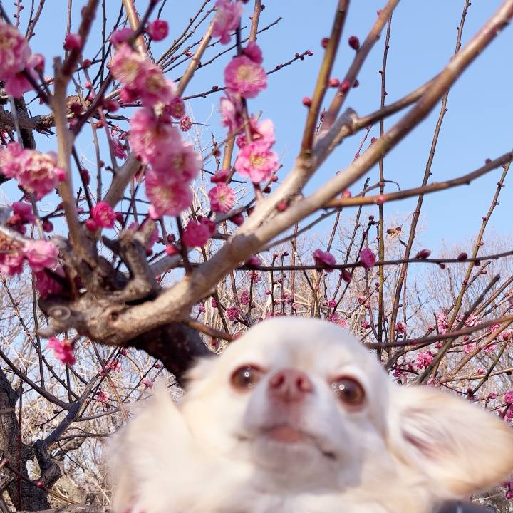 82c896fa 3629 4357 a940 d5a416813652 1739611706232