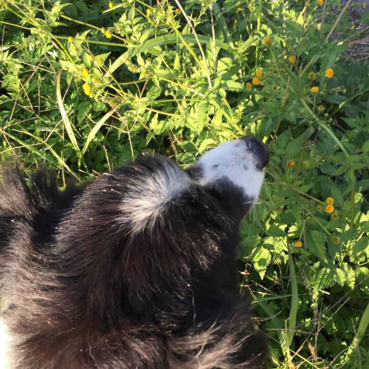 82c8a9a1 849a 4594 8388 529766e32dad 1540079230272