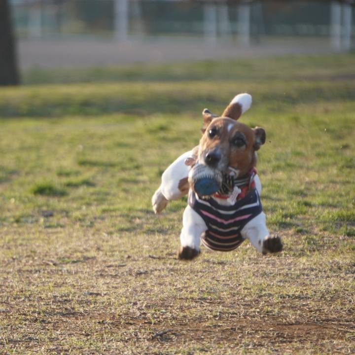 82c8d2ce 7141 4e21 9aa1 bfebfb93cfd3 1584488039227