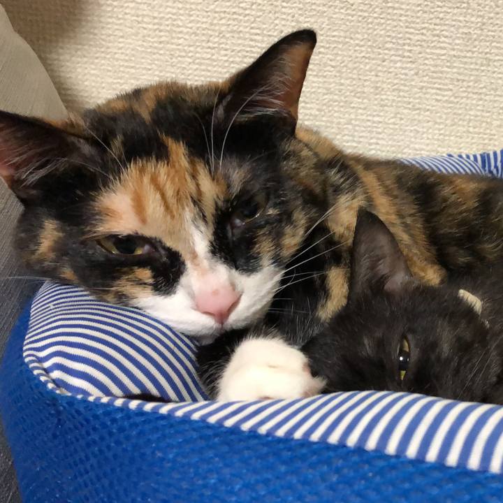 82c8d662 770f 4f68 acbd 1368756bce6f 1661041086010