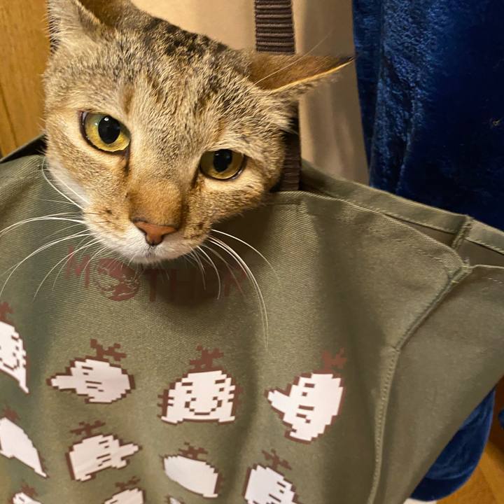 82c8f186 f6d8 42f1 9f58 4f9ebdb11ed4 1613943022890