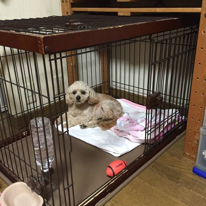 82c9001b f1a9 4be6 b32c 28ac6b2d597c 1529284399112