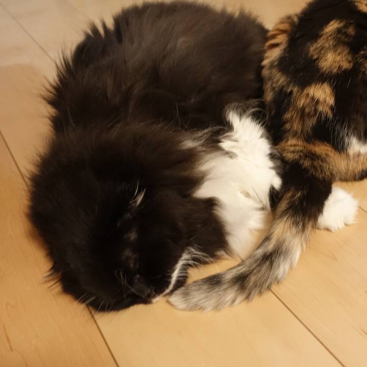 82c90c41 dbfb 4054 8688 08b3972eaae6 1561130790795