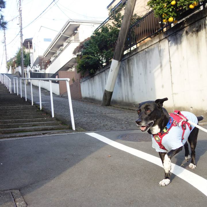 82c90eab a277 4616 8ce1 6436657270bb 1670549529914