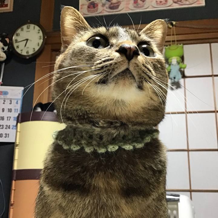 82c92574 b235 45d4 877d da19fd6324ae 1639691312857