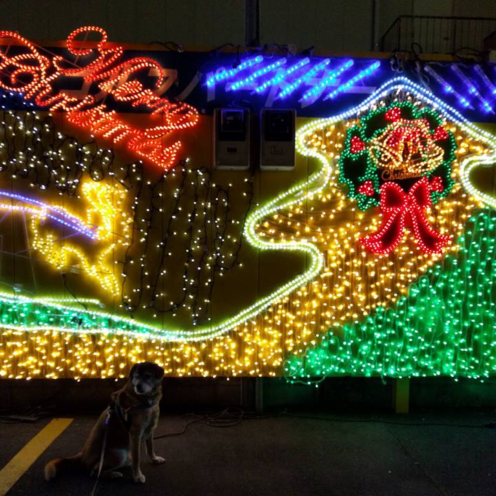 82c9399a 74cc 439f bb50 b6005aea999c 1545734656458