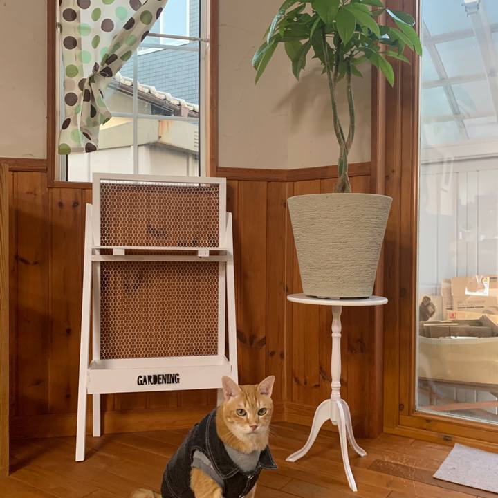 82c99f02 673b 4a9a bf54 afd3f7bfabf8 1653656272924