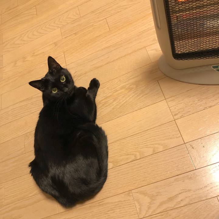 82c9b06c f766 4c13 a02a fd43cda6e42f 1545395133663