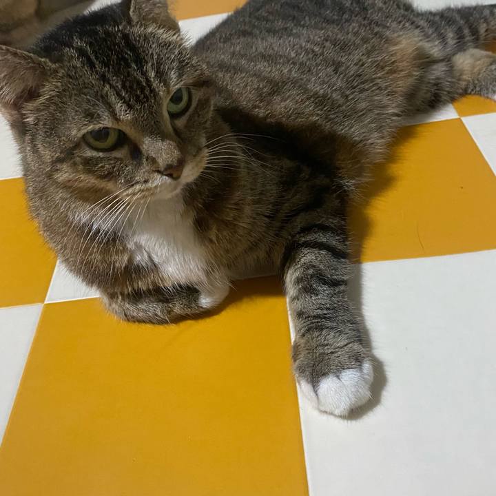 82c9c5b5 d6bb 49b0 8ad3 a5ffe60ec513 1758059615790