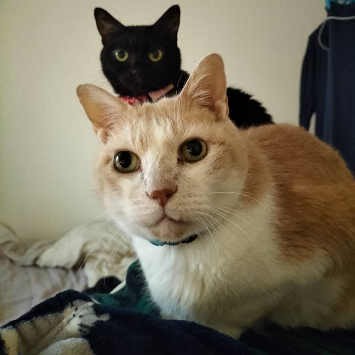 82ca0b09 191f 4f3f b9ab c9fe08a3c331 1672786573506