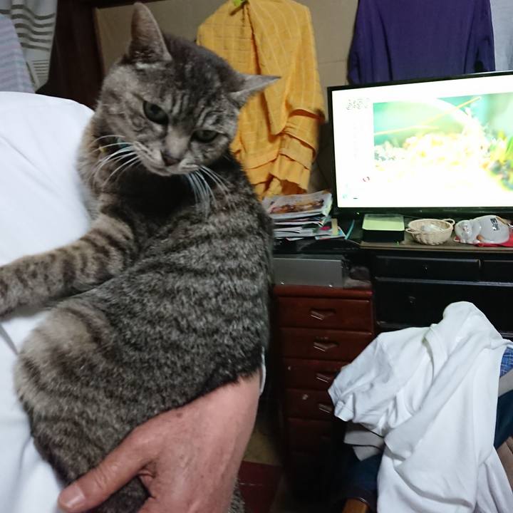 82ca0d7f f362 4382 afd3 37276b6c9ca3 1553248691225