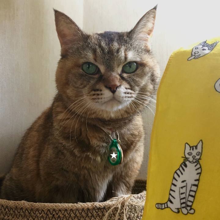 82ca1b95 c31e 488d bb45 736f73c65969 1521672927094