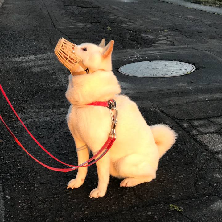 82ca5385 9ce8 442d a9c3 b251705f0298 1537131874985