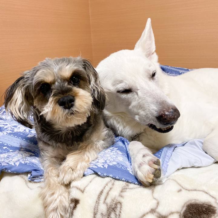 82ca755b bcfa 40cc b502 b1d3c037a96a 1645617845441