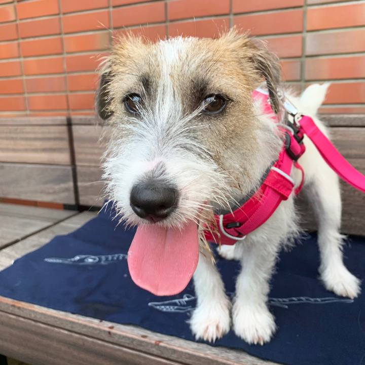 82caa120 1ba3 42b3 98e0 c82030326d36 1568460221818