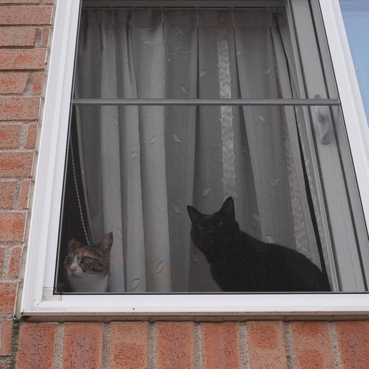 82cab187 bc6d 4340 bd2e 7e4fe4b65e5d 1647262559338