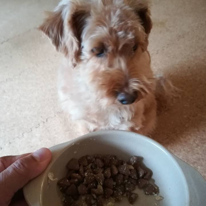 82cadfa1 3d15 49fd 8c55 d8e9f13556bd 1569115915929