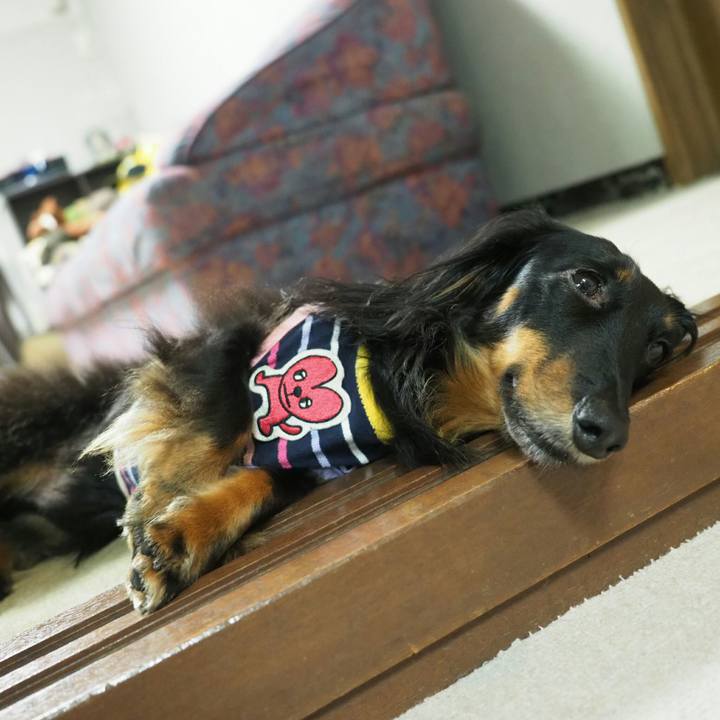 82caf3c5 fb36 418b a105 9e4897b81296 1531887064852