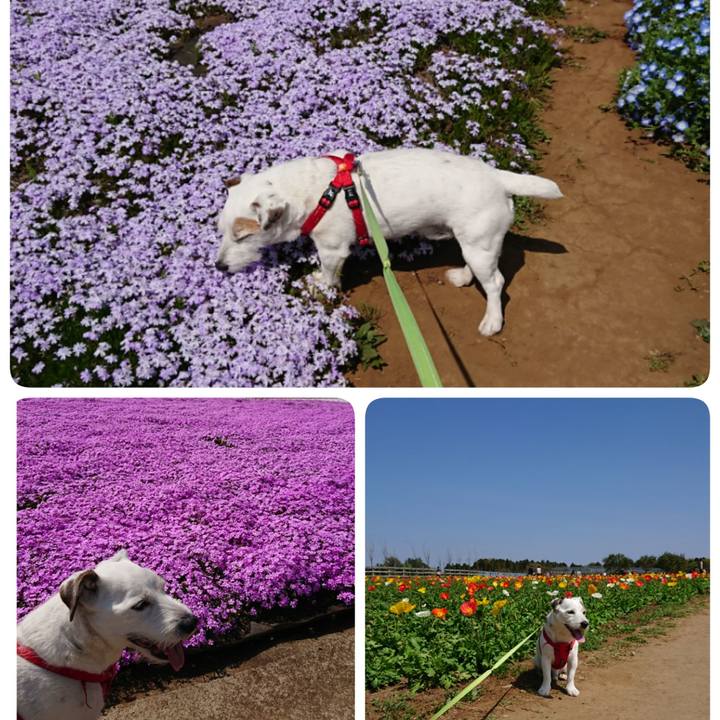 82cb0913 e983 439a b7e3 7fc2e8149647 1555804168131