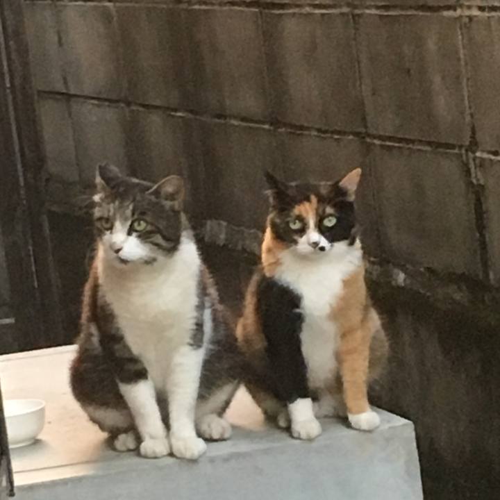 82cb2ed8 92cb 455a a481 b57168d2c24f 1532685250051