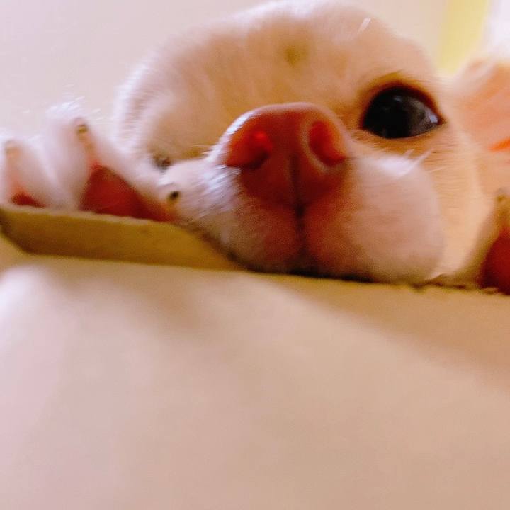 82cb3362 868f 4be1 a420 08054ce5bd31 1622108381625