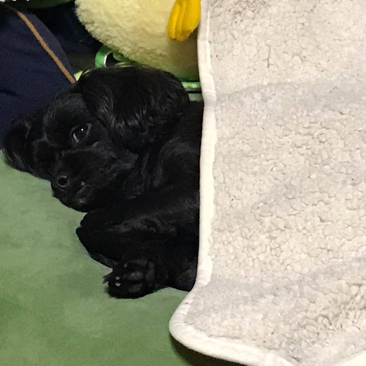 82cb56e8 058a 4684 938b 2e1b75e9e771 1559138201645