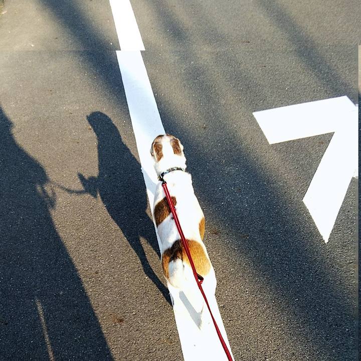 82cb5932 5357 41b9 8b82 a94616eda997 1596490947760