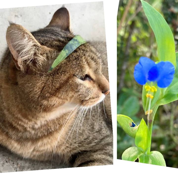 82cb6c81 7634 4992 8481 af50791ce7d5 1753487707344