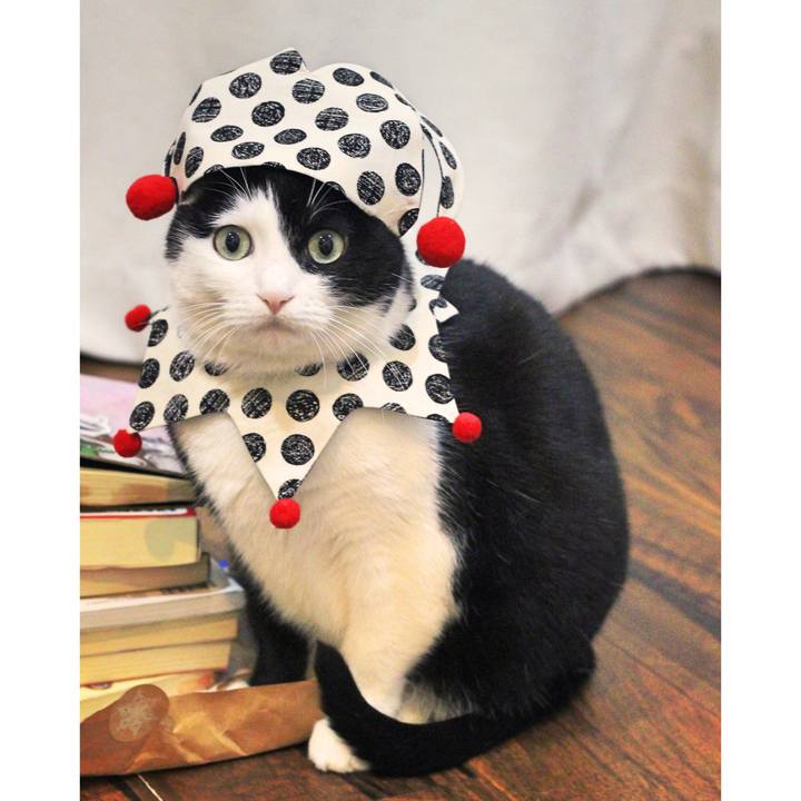 82cb8fc3 fc81 49a6 b04d ce2778a534ef 1579665763303