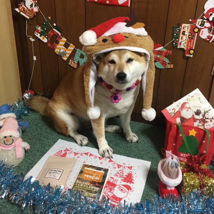 82cbc31e f514 4b37 b46e c37851115818 1639219613430