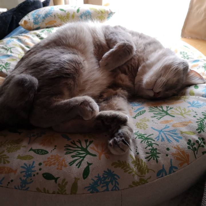 82cc92cf aebb 4155 a6f8 6bcb22463925 1564215254033