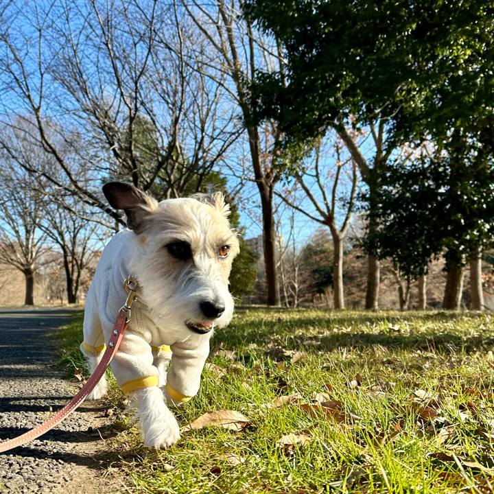 82cc97a4 16fb 4850 a14f 7d671c35ede7 1705304590412