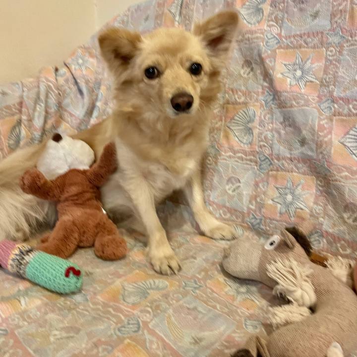 82cca442 bc6b 4ff1 b1e7 17e8e7d57a71 1752125928451