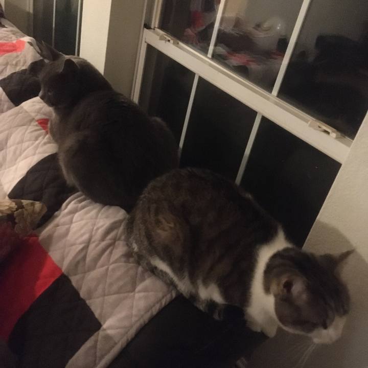 82ccae6e 9970 4445 8649 5c5251f28b14 1645498703224